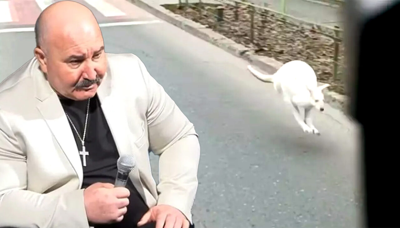 Am aflat cât costă un cangur pitic albinos. Cel al lui Nuțu Cămătaru a devenit vedetă, după ce a fost filmat pe străzile din București