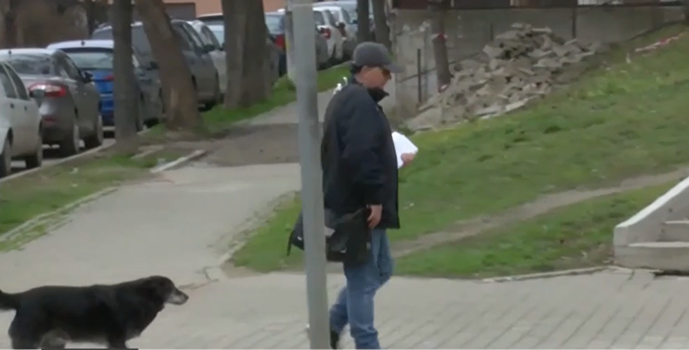 POVESTEA emoționantă dintre un câine și un poștaș din Iași. Cum au devenit de nedespărțit