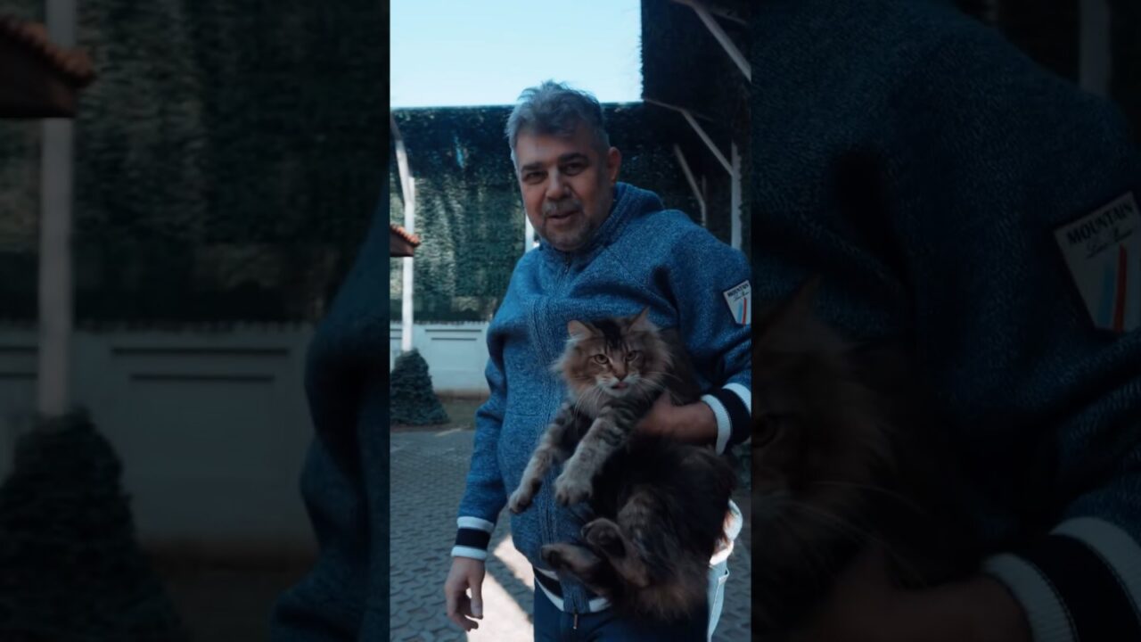 Premierul Marcel Ciolacu, în misiune de SALVARE a pisicii sale, care rămăsese blocată în copac