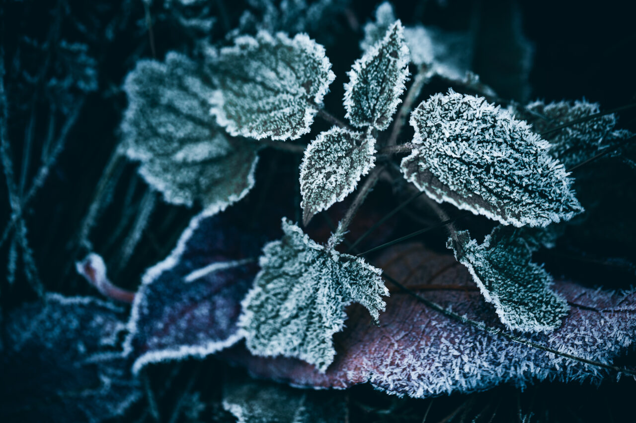 Ger și MINUS 15 grade. Meteorologii au anunțat că temperaturile vor scădea și mai mult