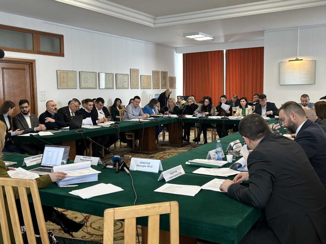Votul din Comisia juridică a Senatului pe OUG pentru organizarea alegerilor, amânat. Motivul: prea multe amendamente