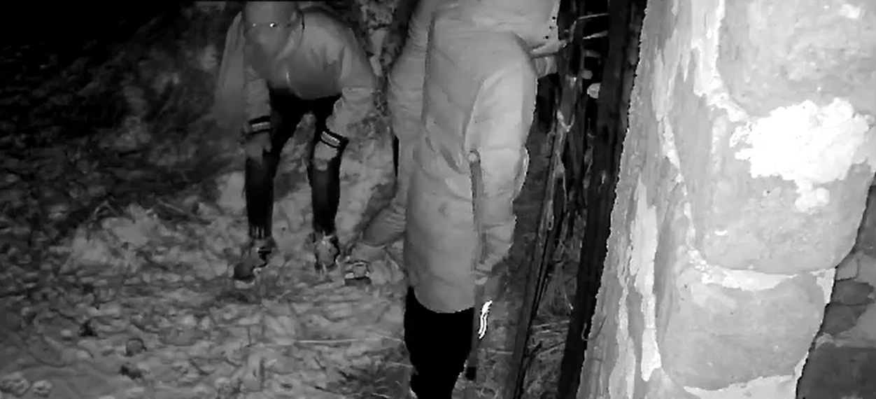 JAF surprins de camerele de supraveghere, în județul Dâmbovița. Trei bărbați înarmați cu un topor și un cuțit au furat un cal