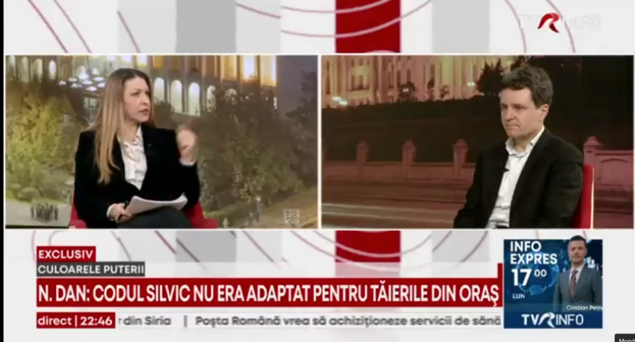 Nicușor Dan se CONTRAZICE de la un minut la altul: Șoșoacă nu poate candida dacă așa a zis CCR/Șoșoacă și Georgescu ar trebui să poată candida