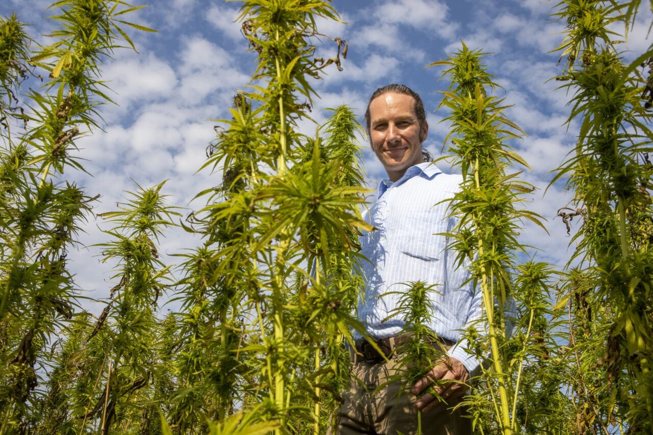 Cercetătorii din Brazilia așteaptă aprobările pentru un VAST studiu privind cultivarea de canabis