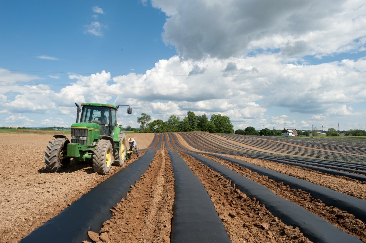 Cine e ardeleanul care face performanță prin „AGRICULTURĂ conservativă”? Povestea de succes plecată de la o fermă de subzistență