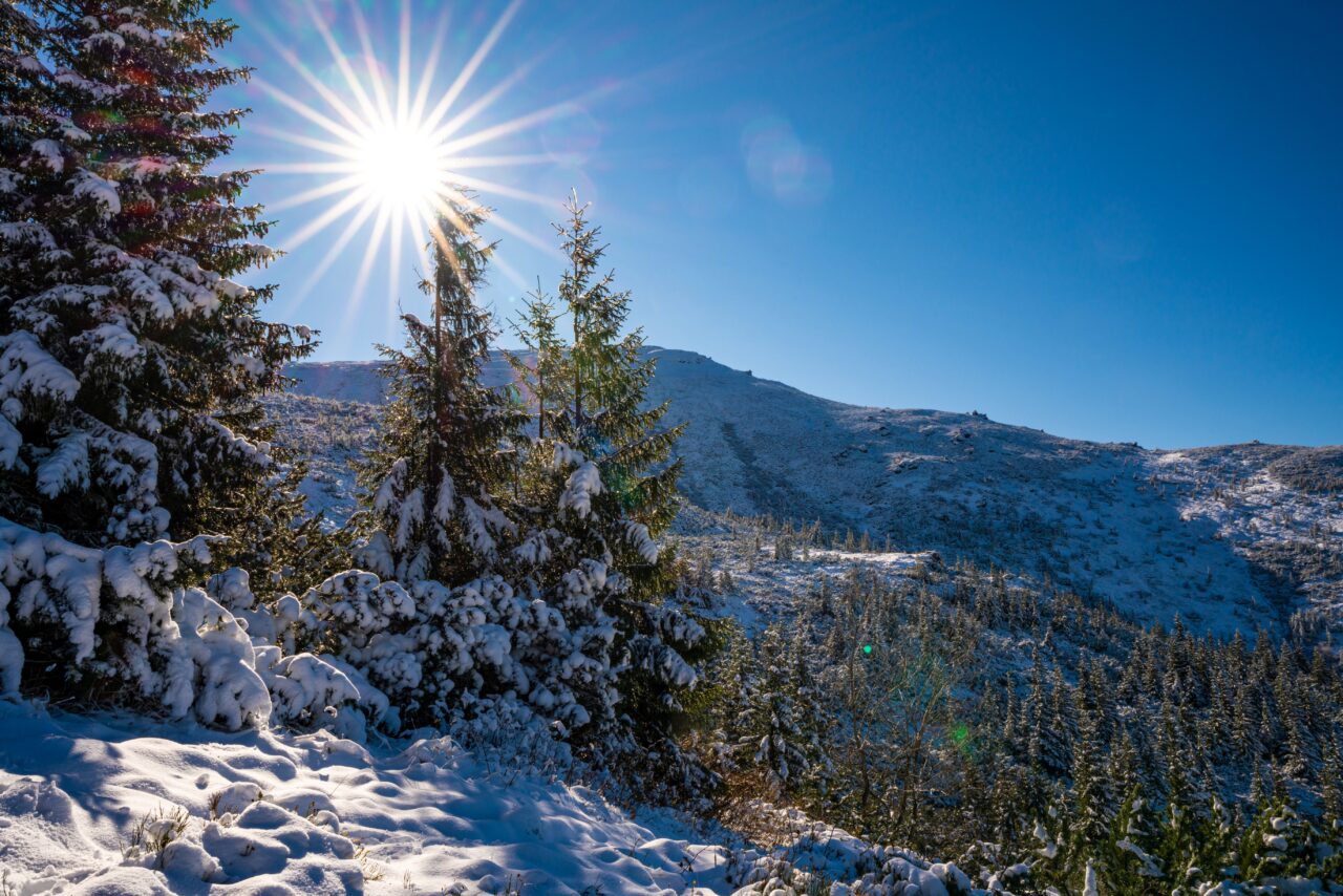 Vreme la extreme în România. De la ger năprasnic, la TEMPERATURI de 20 de grade Celsius în doar 7 zile