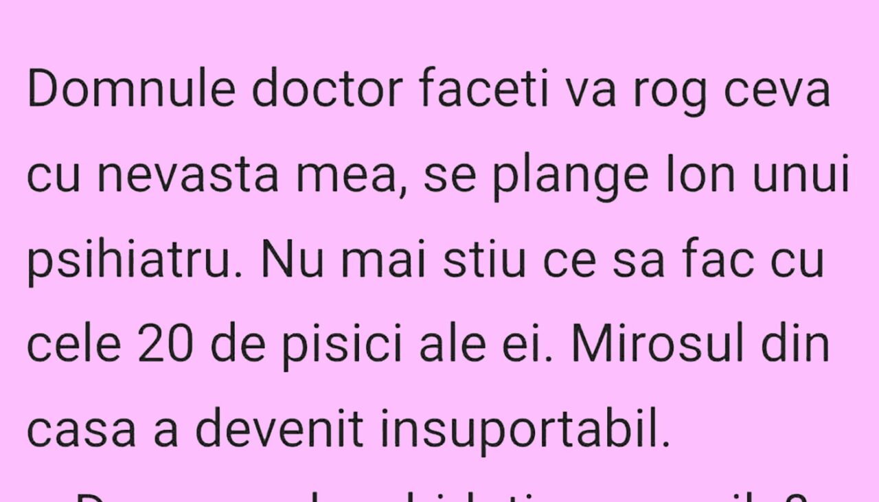 BANCUL ZILEI | Ion și cele 20 de pisici ale soției