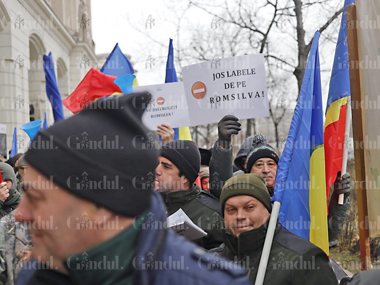 PROTEST al silvicultorilor în fața Ministerului Mediului. Sindicaliştii acuză DISCREDITAREA Romsilva: „Defăimare şi umilire” / Ce urmează
