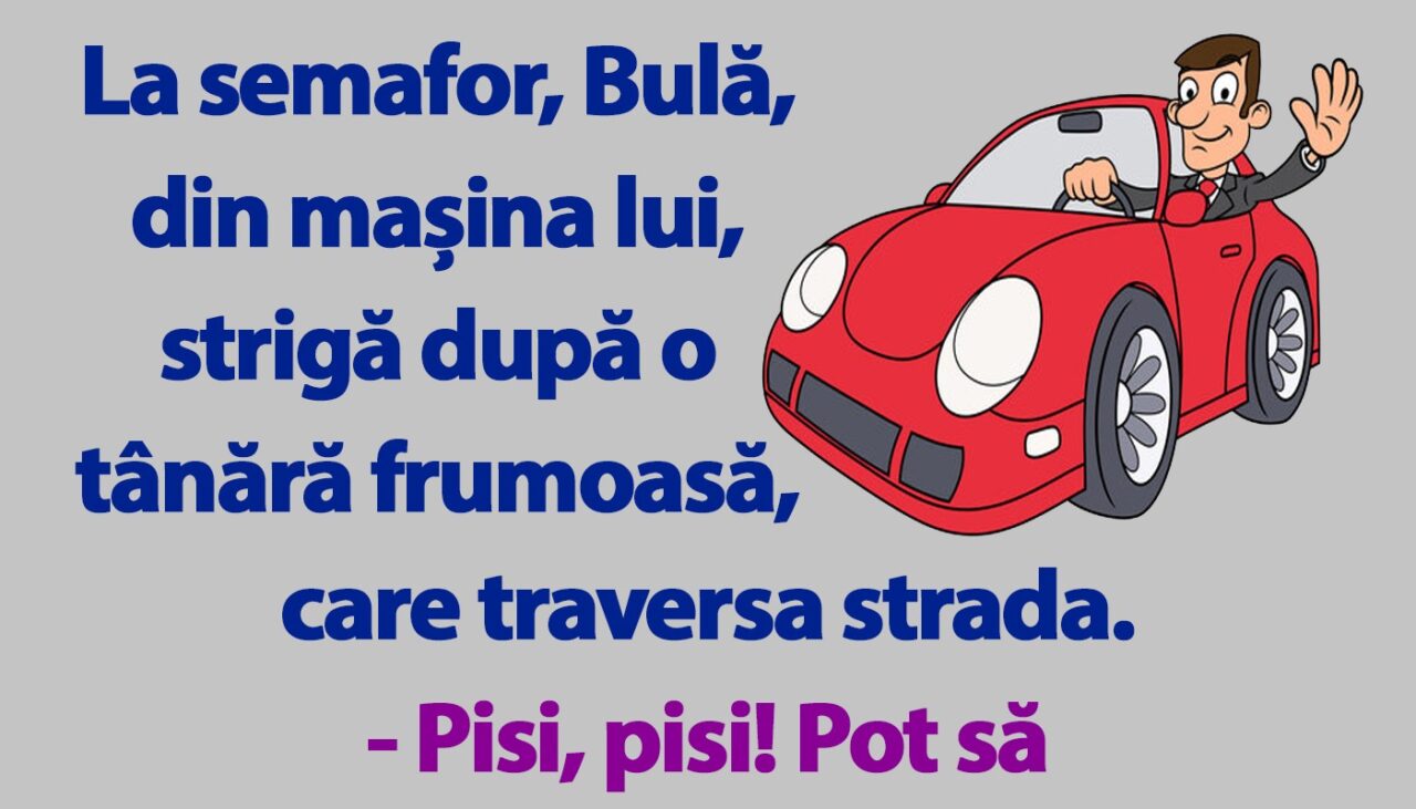 BANC | Bulă vrea să agațe la semafor