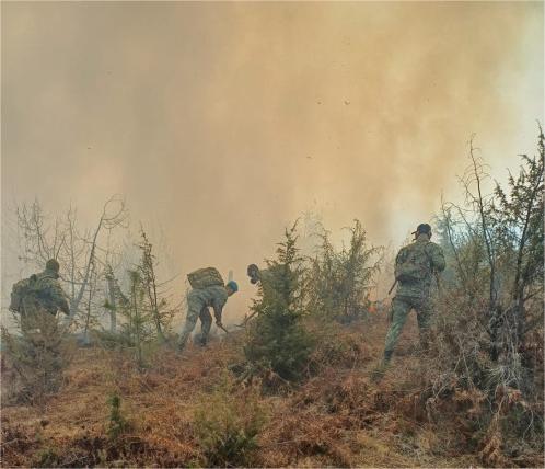 Acțiune de amploare a Forțele Aeriene Române pentru stingerea INCENDIILOR de pădure din Caraș-Severin. Intervenție cu un C-27 J Spartan