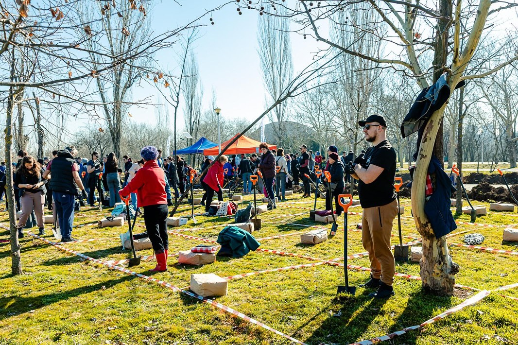 Peste 15.000 de arbori sunt plantați în acest weekend în Parcul Tineretului din București