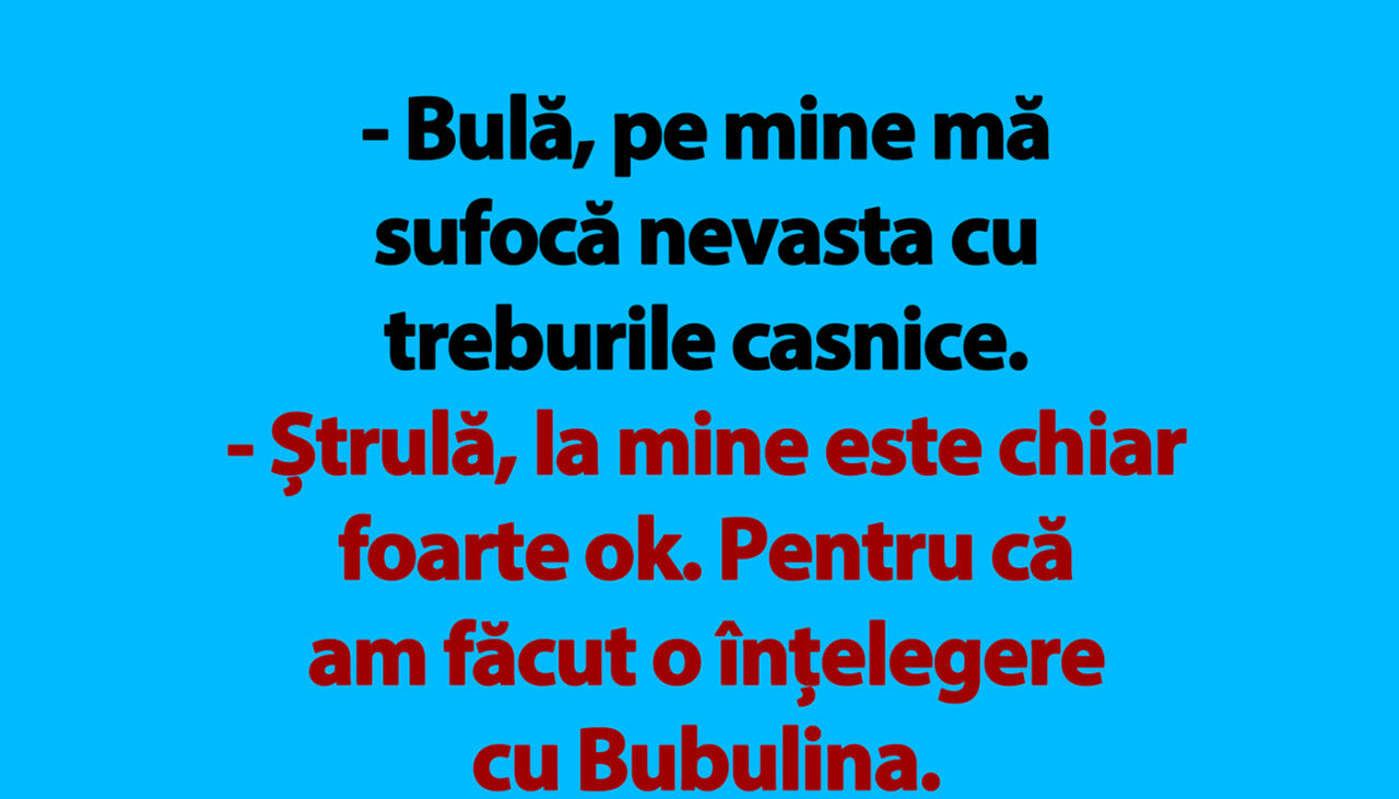 BANC | Bulă și treburile casnice