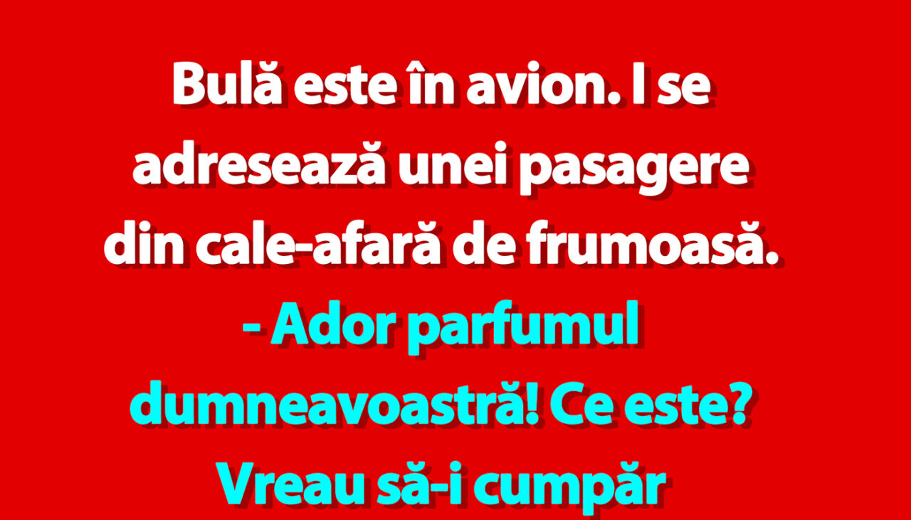 BANC | Bulă și pasagera frumoasă din avion