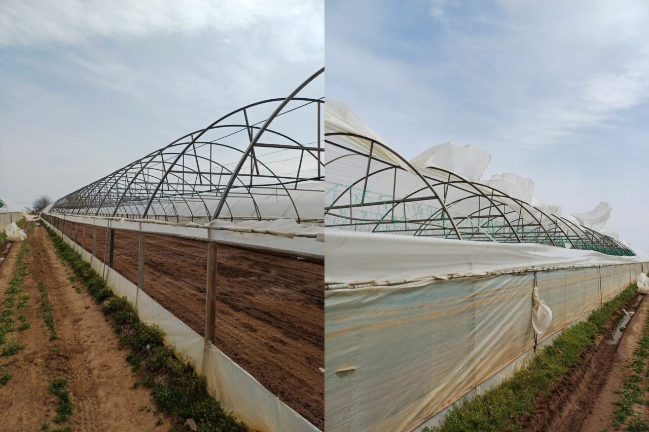 Dezastru în cel mai mare bazin legumicol din Dâmbovița. Hectare întregi de solarii, afectate de vântul puternic