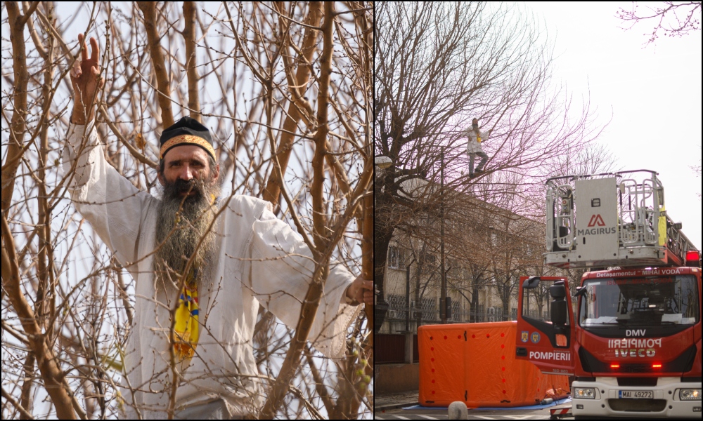 „Stegarul dac” s-a dat jos din copacul din fața Arestului Central, după mai bine de 24 de ore. Cătălin Avrămuță a fost dus la audieri
