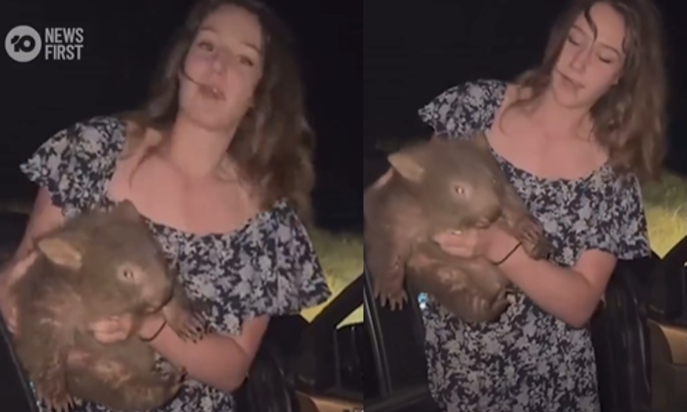 O influenceriță americană s-a filmat când a FURAT un animal protejat prin lege, de lângă mama lui. Australienii, revoltați, au cerut expulzarea ei