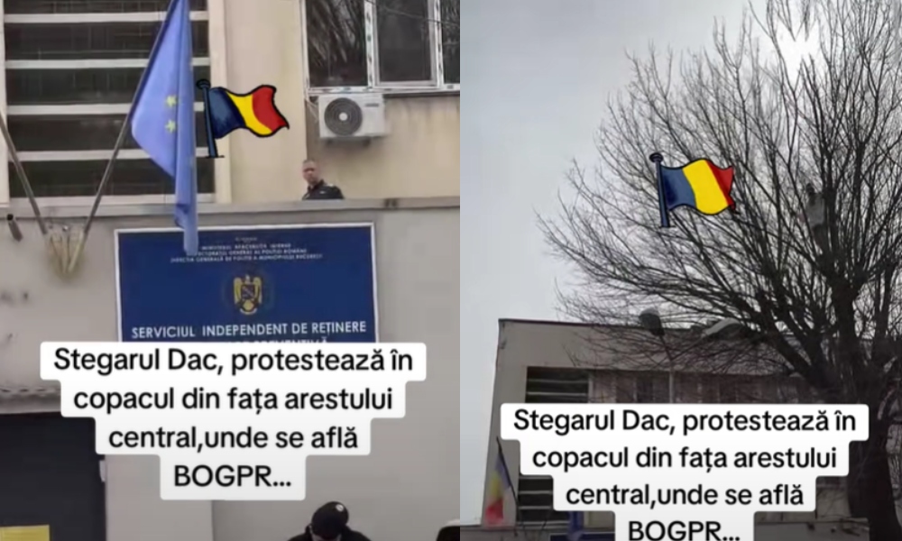 „STEGARUL dac” Cătălin Avrămuță s-a urcat într-un copac din fața Arestului Central, unde se află Bogdan Peșchir. Cere eliberarea lui BogPR