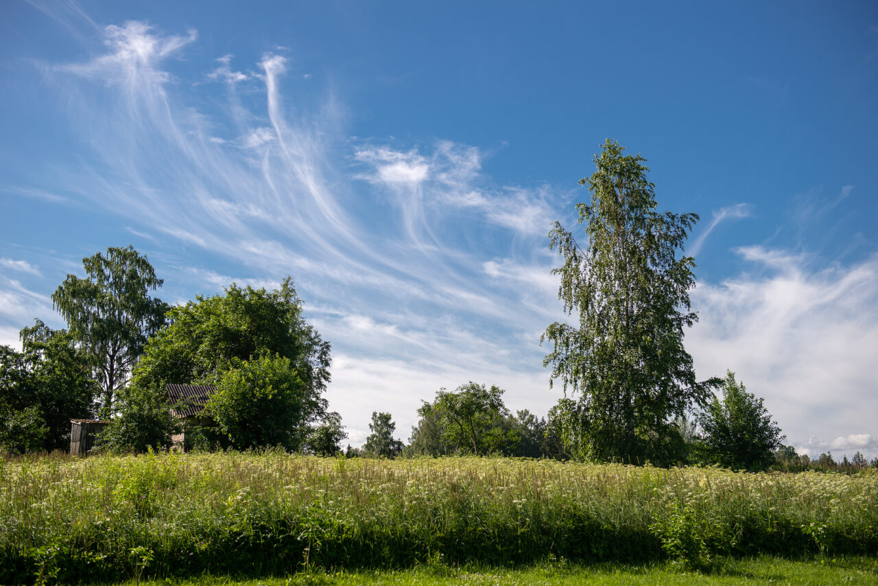 Țările unde calitatea aerului este aproape perfectă. Cât de poluat este aerul în România