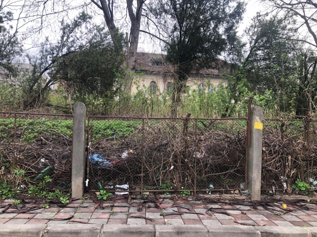 Ce s-a ales de o clădire istorică din Iași, care valorează 1,2 milioane de euro. A devenit „casă” pentru șobolani și oameni fără adăpost