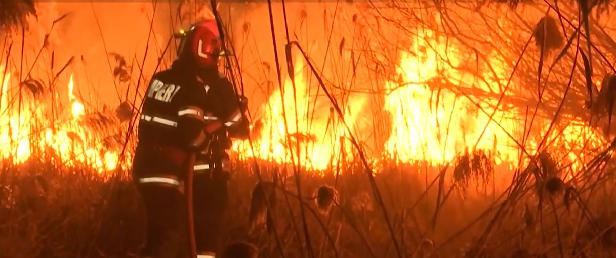 O parte din rezervația naturală Dumbrăvița, supranumită „Delta din Carpați”, afectată de un INCENDIU de vegetație. Au ars complet 4 hectare de stuf