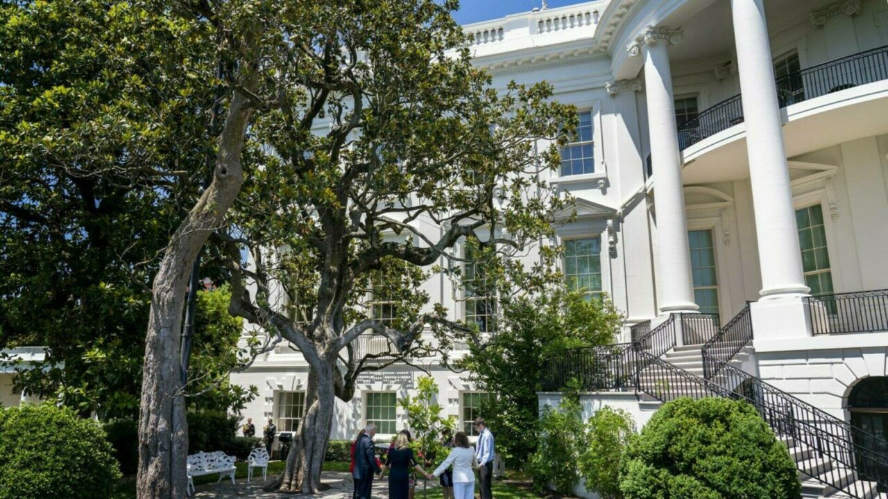 „Jackson Magnolia”, cel mai vechi arbore de teren de la Casa Albă, va fi TĂIAT : „Un risc grav la adresa securităţii” / Ce spune Donald Trump