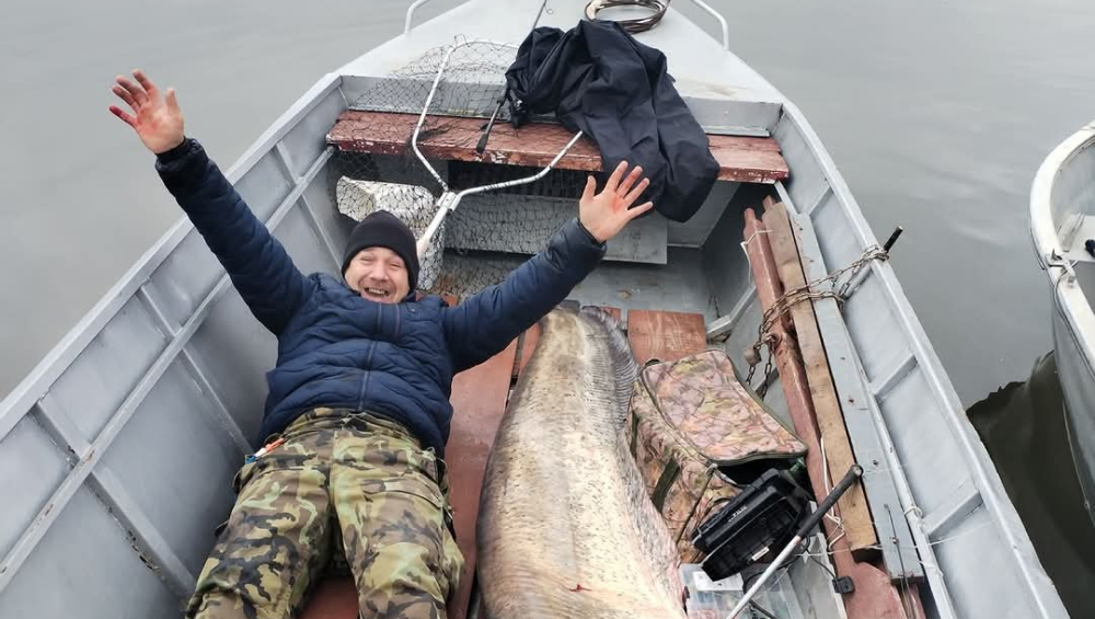 Captura anului pe Dunăre. Un bănățean a „spart gheața” după ce a prins un SOMN uriaș de 140 de kg: E o zi de neuitat