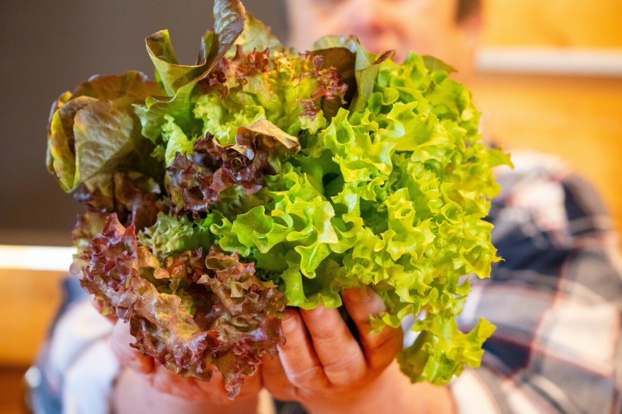 Produsele vegetale care nu pot fi consumate pe durata Postului Paștelui din cauza ingredientelor de origine ANIMALĂ