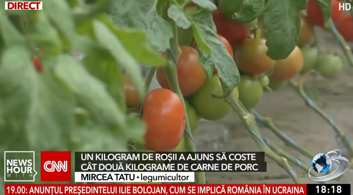 Roșia românească se vinde scump la piață. Un kilogram costă cât două kilograme de carne de porc