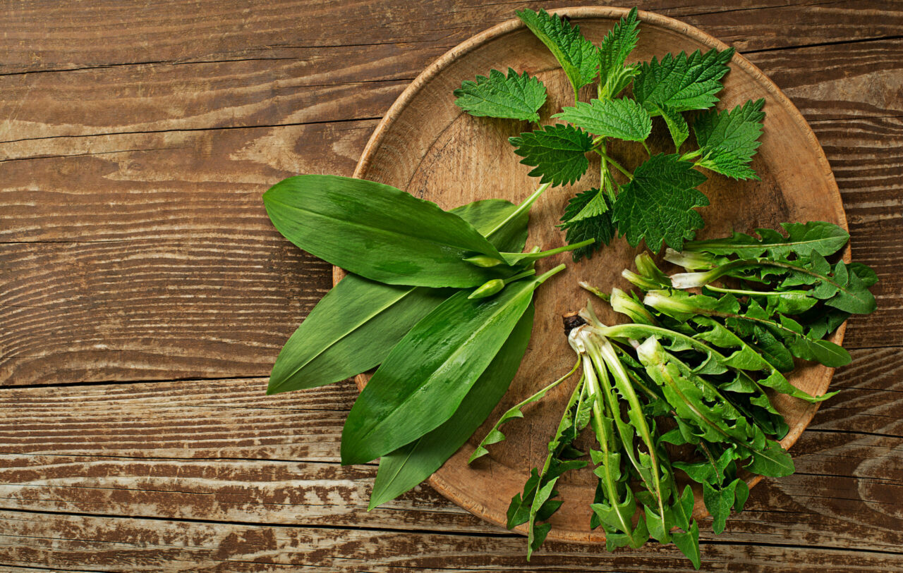 Planta bogată în fier pe care să o consumi primăvara. Favorizează eliminarea toxinelor din organism și este o sursă de substanțe nutritive