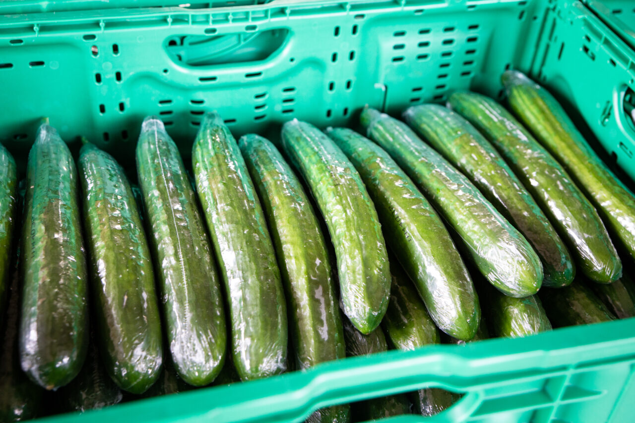 Motivul pentru care castraveții lungi sunt vânduți într-o folie de plastic, în supermarket. Ce rol are aceasta, de fapt