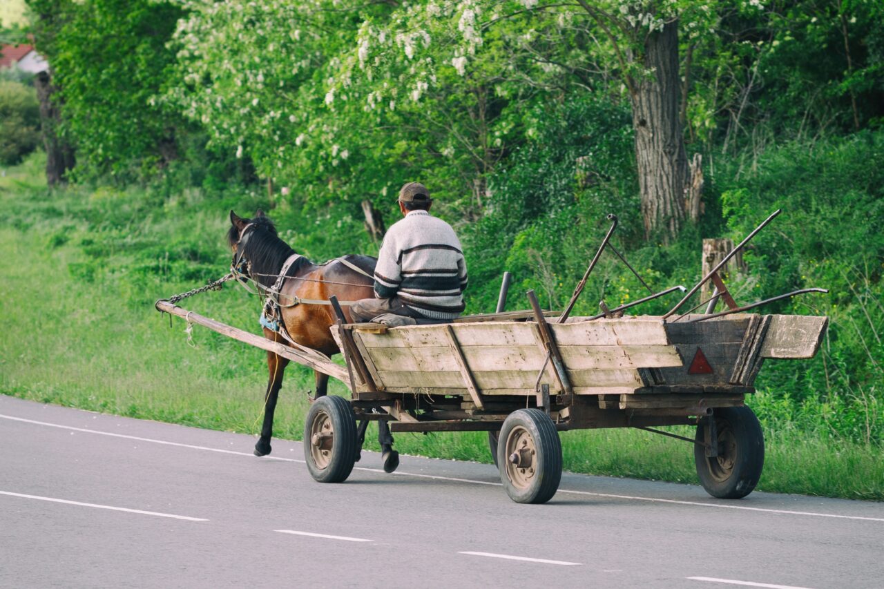 Codul Rutier 2025 | Ce se întâmplă dacă depășești căruța pe linia continuă. Ce arată legea