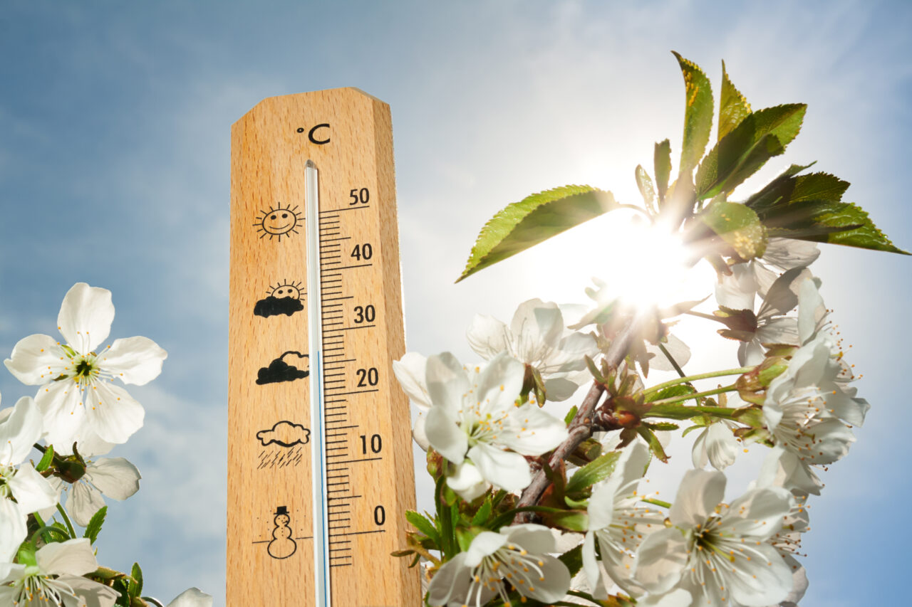 Prognoza ANM a fost actualizată. Când se vor înregistra temperaturi de primăvară și cum va fi vremea în următoarele 4 săptămâni