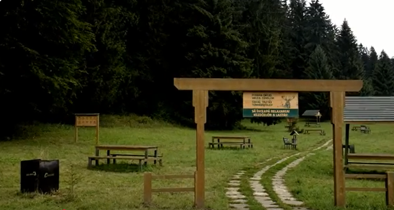 DESTINAȚIA de legendă din România, cu izvoare tămăduitoare și mistere fascinante. Puțini turiști știu de locul unde legendele se împletesc cu natura