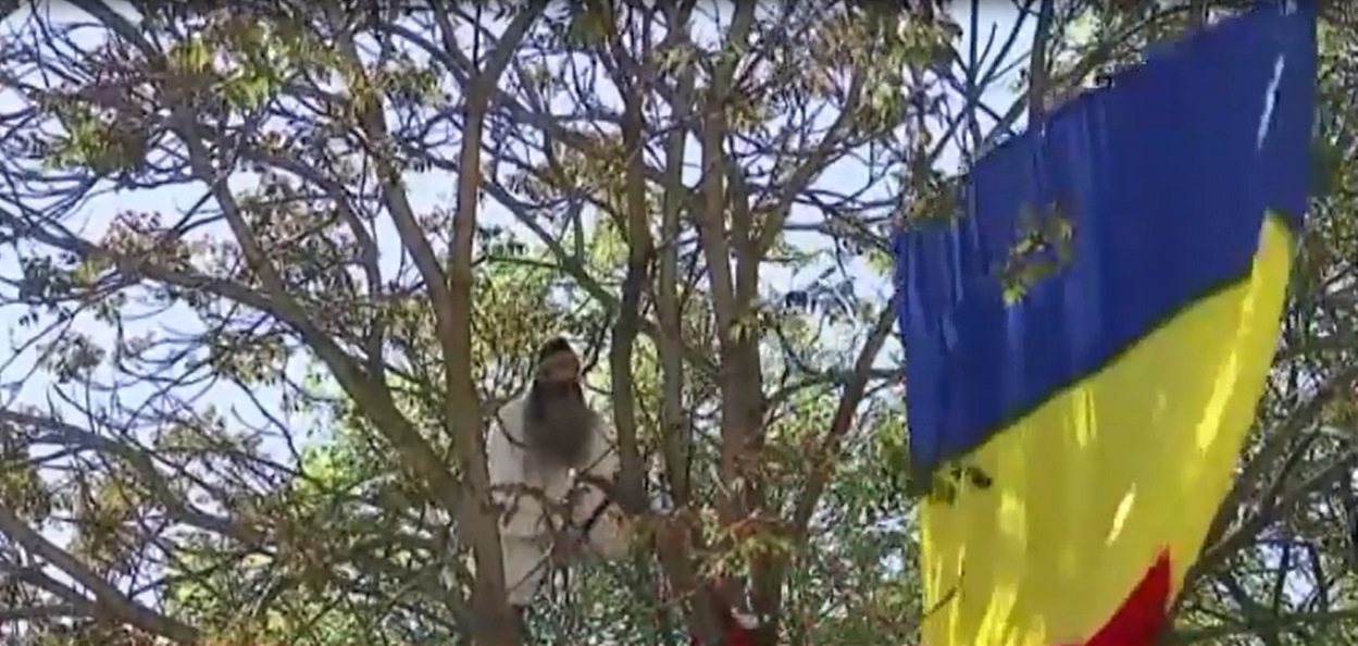Protest inedit la Parchet: „Stegarul Dac” urcă într-un copac pentru a flutura tricolorul