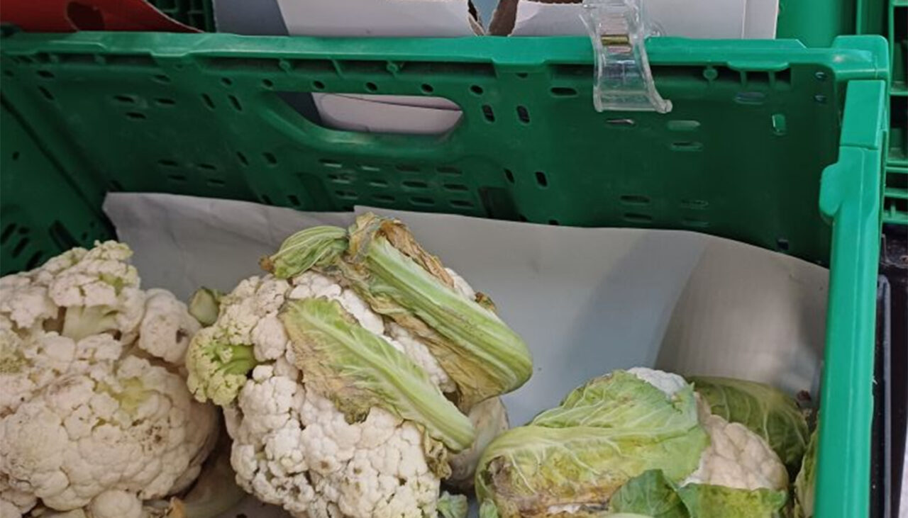 A apărut o nouă LEGUMĂ în supermarket-urile românești: conopidă cu mucegai. Cât costă