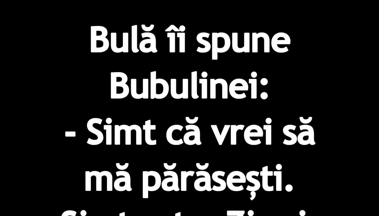 BANC | Bulă îi spune Bubulinei: „Simt că vrei să mă părăsești”