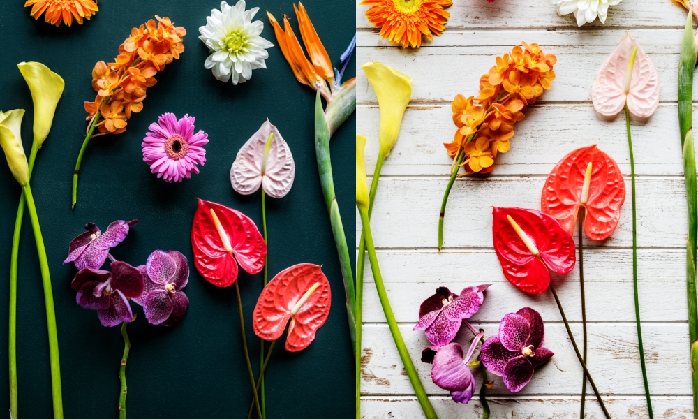 Află ce floare te reprezintă și cine e sufletul tău pereche, în funcție de luna în care te-ai născut. Ce spune zodiacul floral despre destinul tău