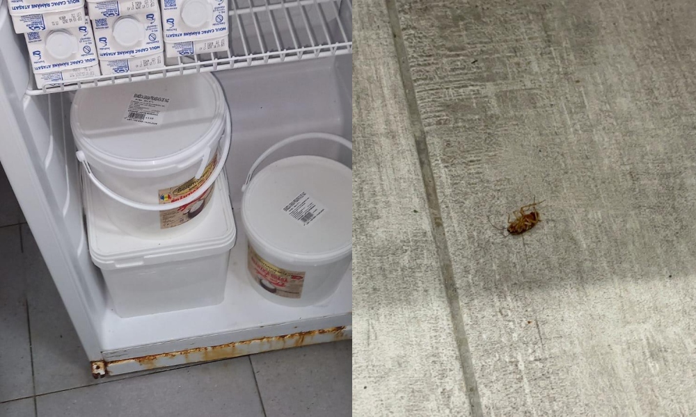 Piedone și inspectorii ANPC, razie în hotelurile și restaurantele de pe LITORAL. Gândaci și mizerie în mai multe localuri