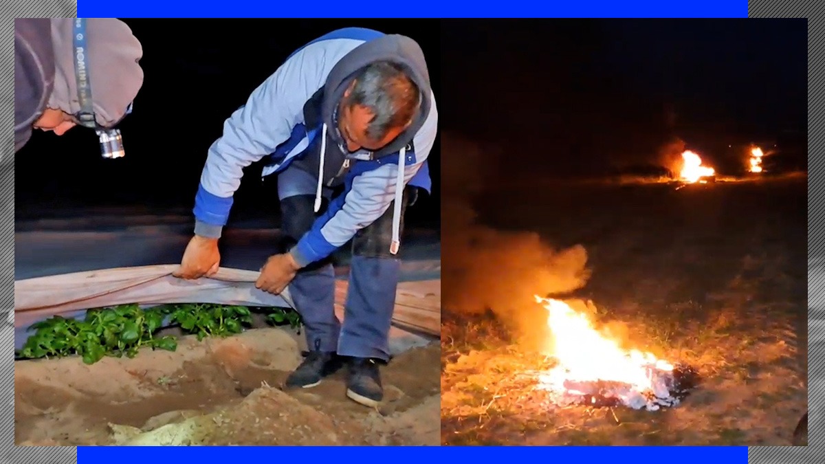 Nopți albe pentru fermierii din țară. Au aprins focurile în plantațiile de pepeni și cartofi din cauza frigului