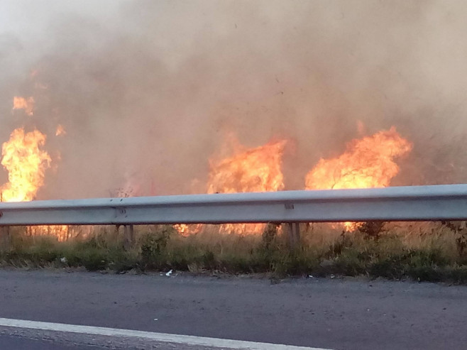 Autostrada București-Pitești, blocată pe ambele sensuri. Incendiu de vegetație pe o suprafață de 4.000 metri pătrați / Operațiune de amploare
