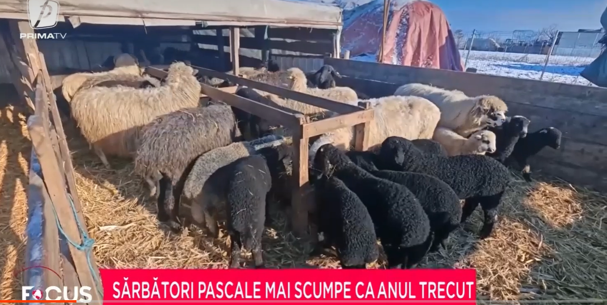 Cel mai scump Paști din MILENIUL trei. Cu cât s-a scumpit masa festivă