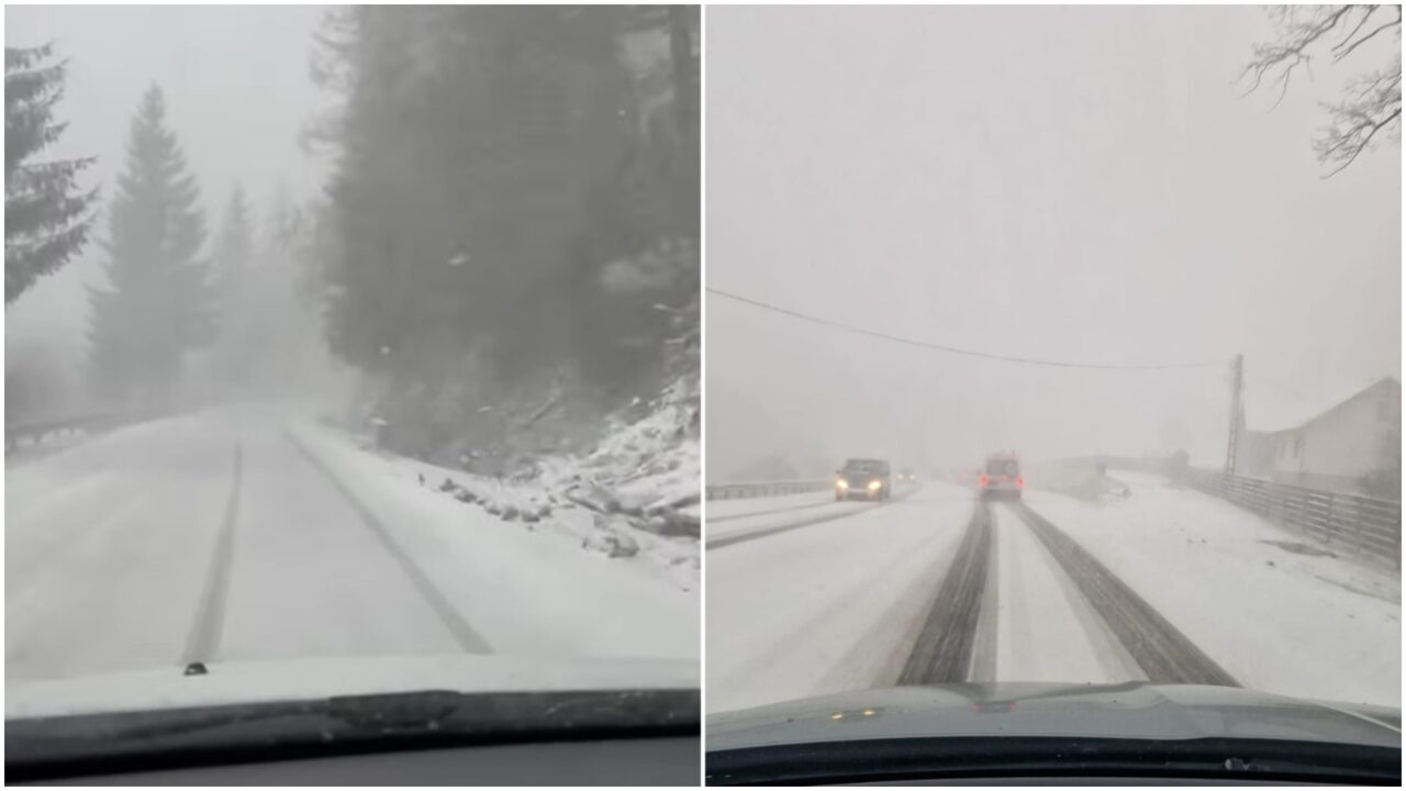 Ninge ca în povești în România. Imaginile au fost suprinse astăzi