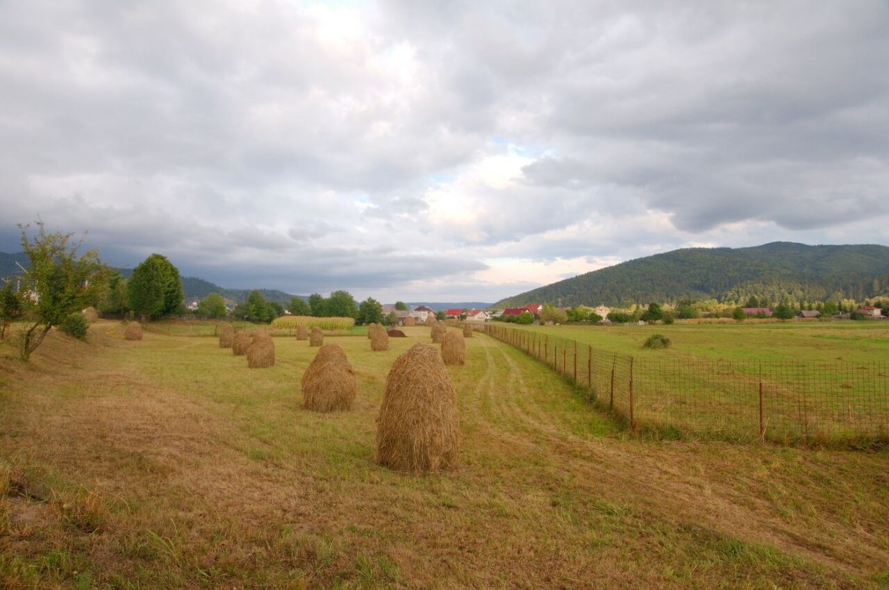Presa britanică, despre România: „Un mod de viață tradițional este pe cale de DISPARIȚIE”