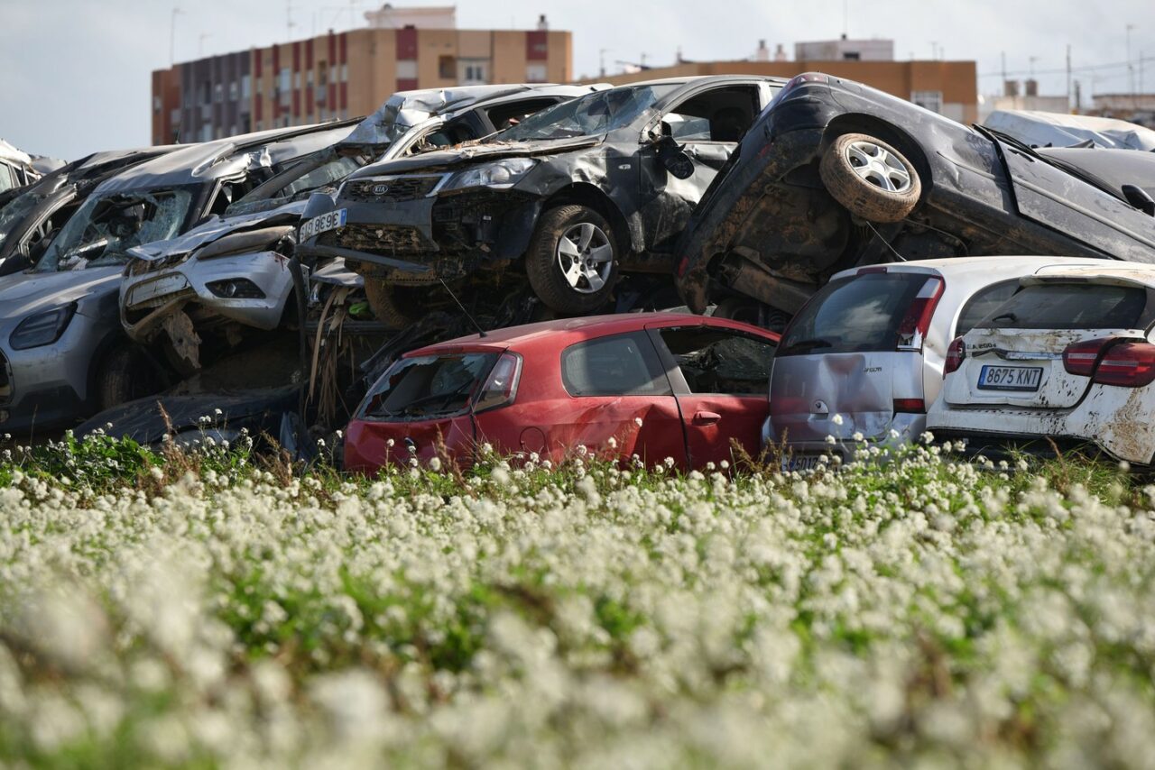 Rețea care trafica rable din SUA în state europene, inclusiv în România, DESTRUCTURATĂ de procurorii europeni, cu asistență din partea DNA