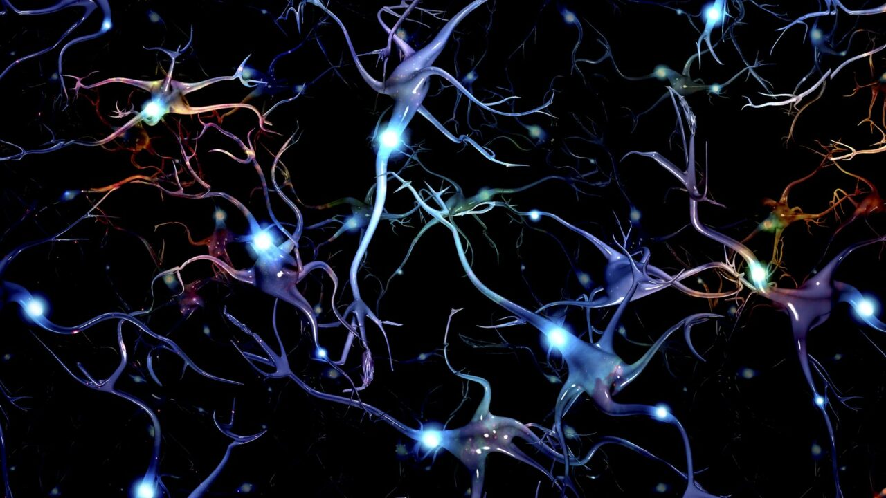 Financial Times: O echipă de cercetători condusă de un savant de origine română a recreat pentru prima dată un circuit CEREBRAL