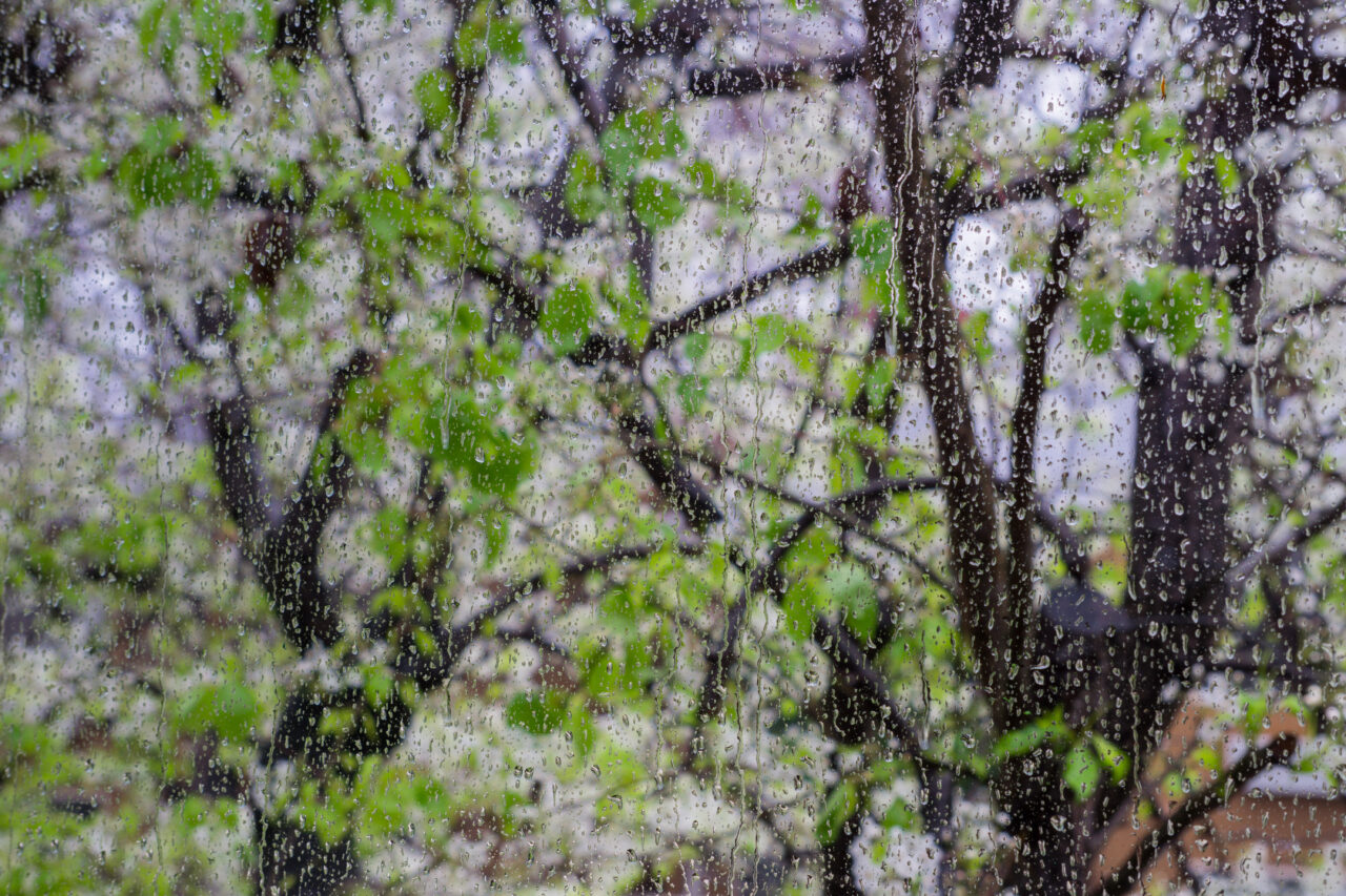 Vreme INSTABILĂ de 1 aprilie. Temperaturi peste medie, dar și averse în România