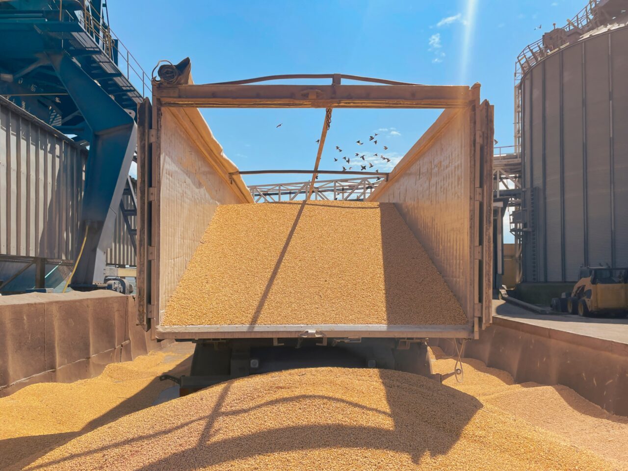 CE: Exporturile europene de produse agricole au ajuns la un nivel record în 2024. Care au fost principalii parteneri comerciali