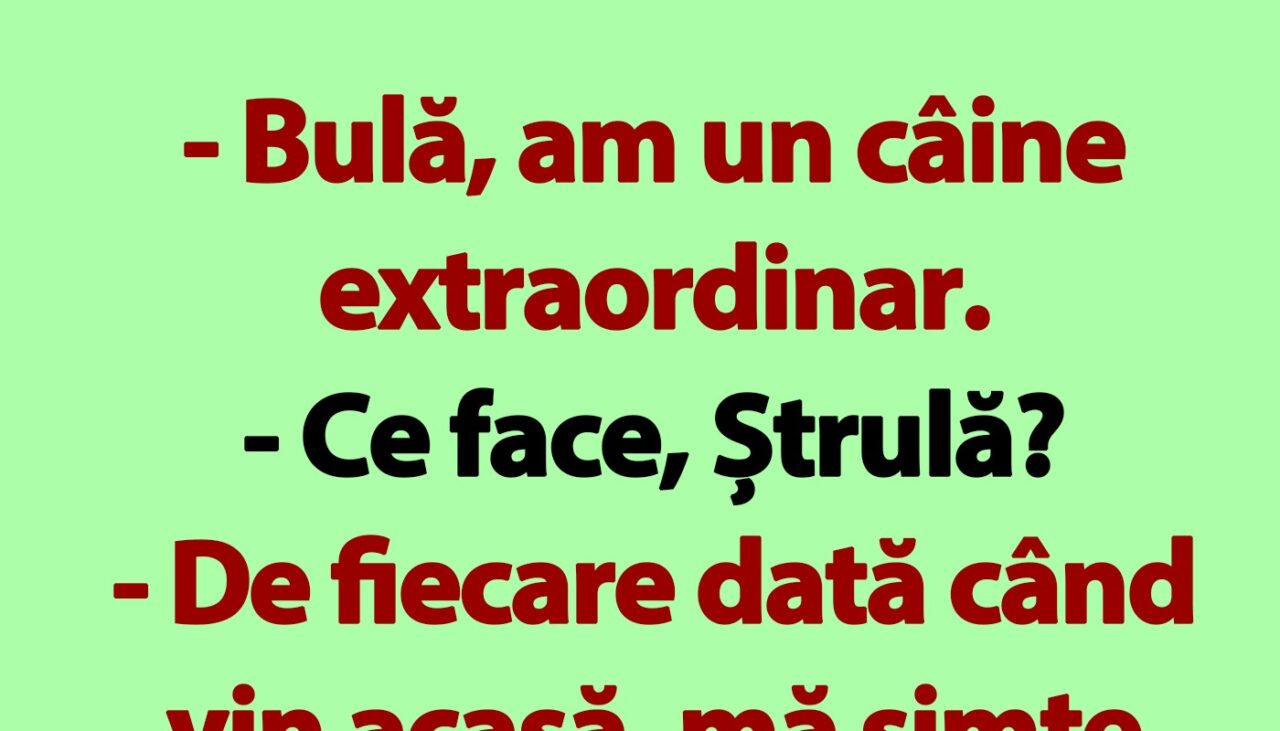 BANC | „Bulă, am un câine extraordinar”