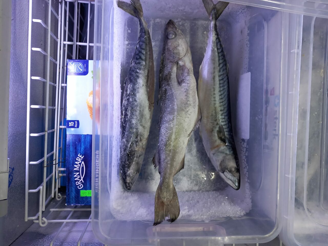 Comisarii ANPC au descoperit vitrine murdare, gândaci și pește expirat în magazinele de profil