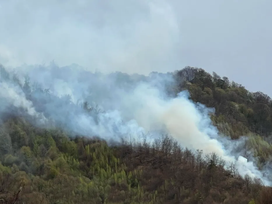 Incendiu de PĂDURE în Argeș.  Pompieri, voluntari şi silvicultori intervin pentru stingerea focului